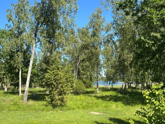 Stuga i Roslagen nära Herräng Dancecamp och havet. - Bild 11