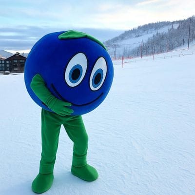 Nybyggd lägenhet i Hamra, Tänndalen - Bild 17