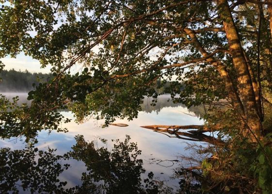 Mysigt skandinaviskt familjehem nära natur & stad - Bild 18