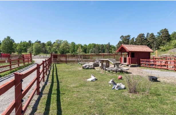 Mysigt skandinaviskt familjehem nära natur & stad - Bild 19