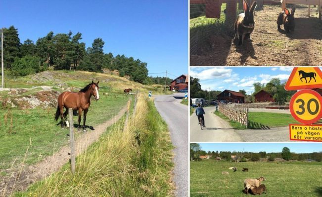 Mysigt skandinaviskt familjehem nära natur & stad - Bild 21