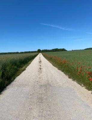 Idyll utanför Visby med vedeldad badtunna. - Bild 19