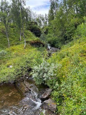 Ramundberget, stuga 4 bäddar - Bild 13