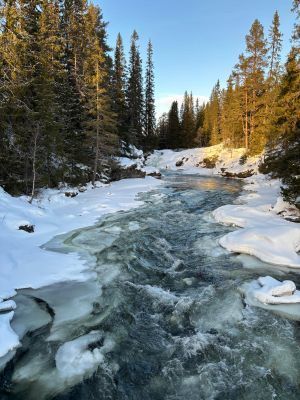 Stort vinterhus med utsikt mot Grövelsjöfjällen - Bild 22