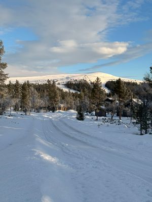 Stort vinterhus med utsikt mot Grövelsjöfjällen - Bild 23