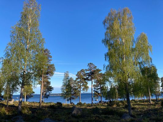 Hyr denna stuga i Hudiksvall på 80 m². 7-9 sängplatser. 7 000 - 12 500 kr per vecka. Se bilder och tillgänglighet här.