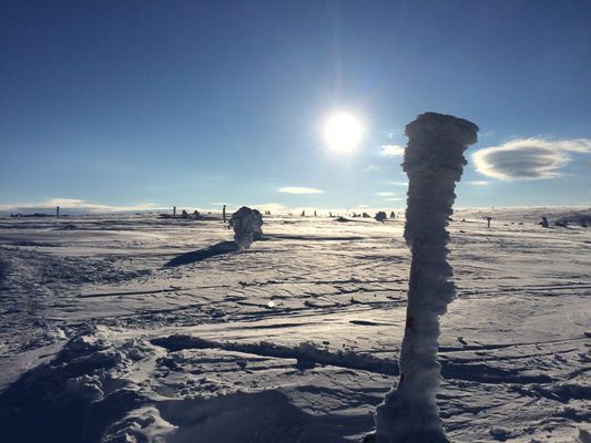 Låga Sommarpriser,  Vinter 2027,  Stugor i Sälen - Bild 39