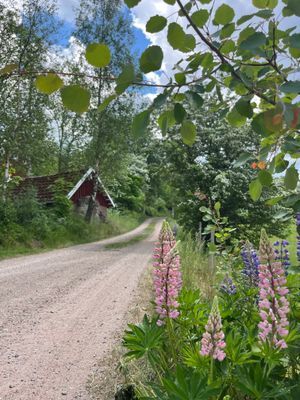 Smålandstorp sjönära med båt - Bild 27