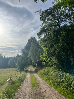 Smålandstorp sjönära med båt - Bild 24