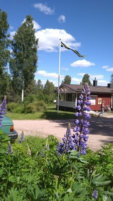 Enjoy the simple life! - Bild 15