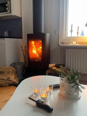 Fjällstuga med kamin & bastu - Bild 6