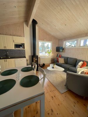 Fjällstuga med kamin & bastu - Bild 8