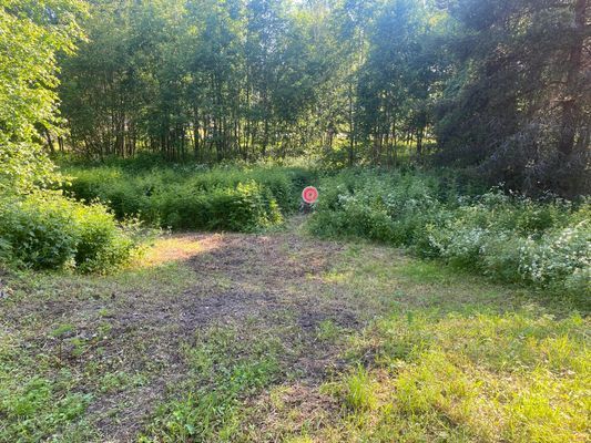 Sommarstuga i sommaridyll uthyres - Bild 8