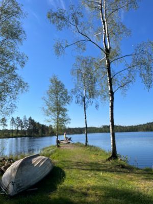 Smålandstorp sjönära med båt - Bild 15