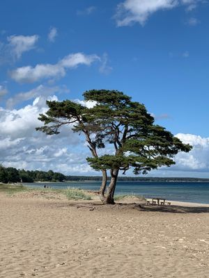 Åhus strand