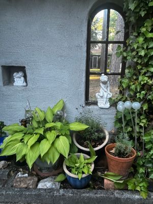 Drömboende i Åhus – nära hav, pool och sommarens b - Bild 8