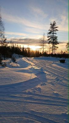 Fin stuga högst upp i Gillersklack stugby - Bild 28