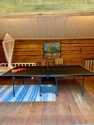 Pingisbordet i ladan