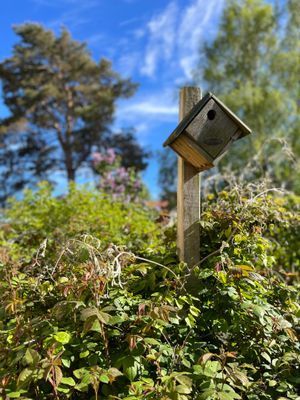 Villa Vilebo - Bild 15