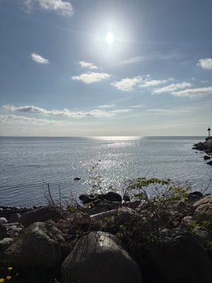 Abbekås, sydkustens pärla - Bild 19