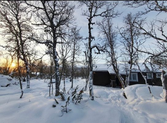 Mysig fjällstuga - Bild 11