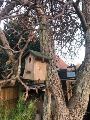 Villa Vilebo - Bild 20