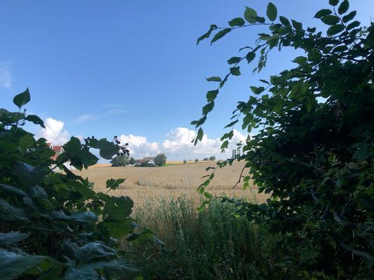 Två hus i Ystad - Bild 50
