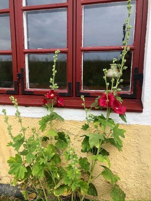 Två hus i Ystad - Bild 70