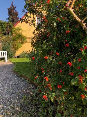 Två hus i Ystad - Bild 30