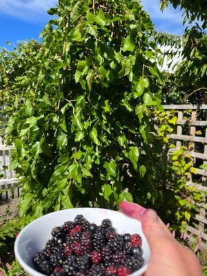 Villa Vilebo - Bild 9