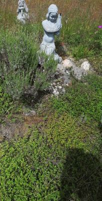 Charmig stuga på Runmarö, Maj - Sept - Bild 14