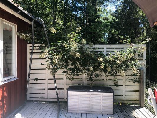 Sjönära stuga på ö i Roslagen (roddbåt ingår) - Bild 27