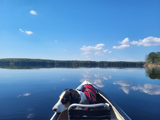 Sjöhuset - båtar, strand, bastu, brygga och grill! - Bild 34