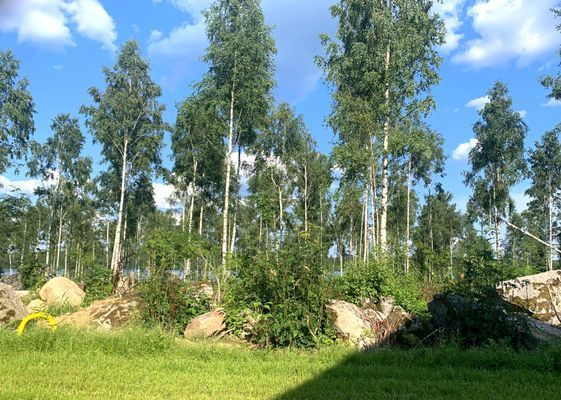 Nybyggt sjönära hus i Småland med bastu - Bild 28