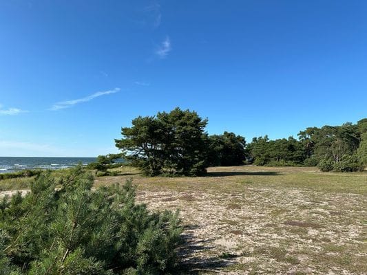 Bild 3 på Mysig stuga på västra Gotland – nära hav och golf
