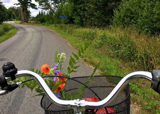 Nybyggt sjönära hus i Småland med bastu - Bild 38