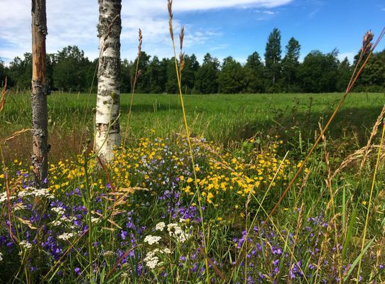 Nybyggt sjönära hus i Småland med bastu - Bild 41
