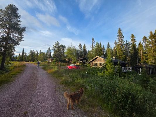 Björnliden 142 , Grövelsjön - Bild 7