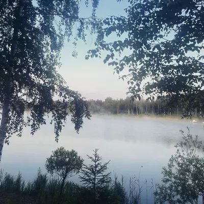 Sjöhuset - båtar, strand, bastu, brygga och grill! - Bild 33