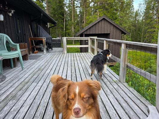 Bild 4 på Björnliden 142 , Grövelsjön