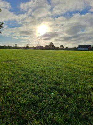 Härligt gammalt hus på landsbygd - Bild 9