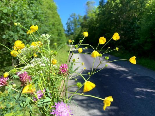 Nybyggt sjönära hus i Småland med bastu - Bild 39
