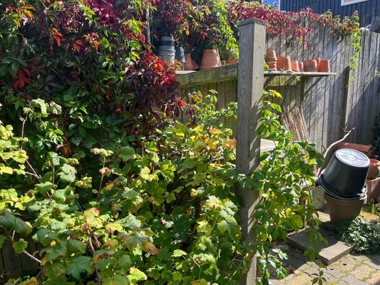 Villa Vilebo - Bild 42