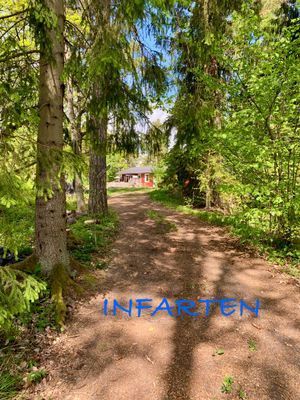 Bild 3 på Naturnära stuga på skärgårdsö