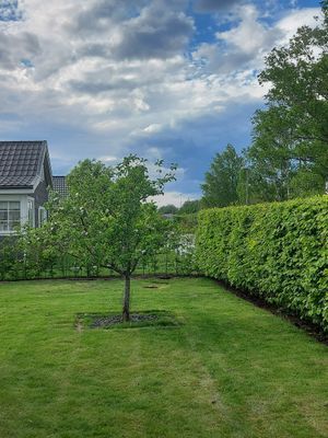 Hyr denna stuga i Halmstad på 50 m². 2 sängplatser. Från 9 000 kr per vecka. Se bilder och tillgänglighet här.