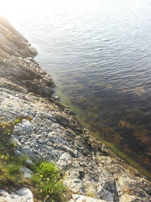 Charmig stuga på Runmarö, Maj - Sept - Bild 10