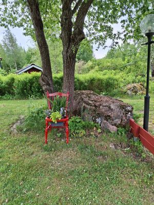 Naturen tar tillbaka