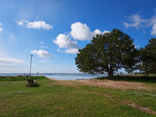 Sjönära boende i Ronehamn på sydöstra Gotland - Bild 20