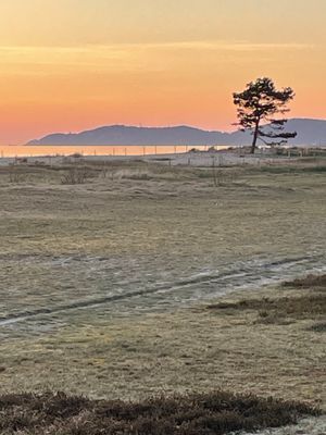 Strandnära stuga i Strandbaden, Kullaberg - Bild 32