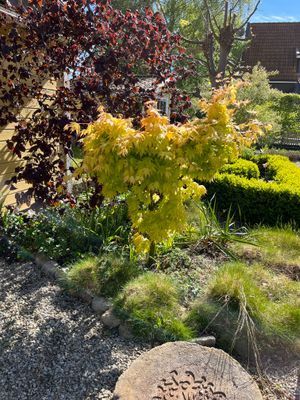 Villa Vilebo - Bild 76